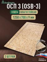 ОСП (OSB 3) плита влагостойкая 9 х 700 х 1250 (2 шт)